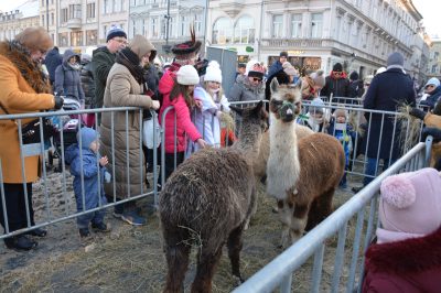 13.Bydgoski Orszak Trzech Króli