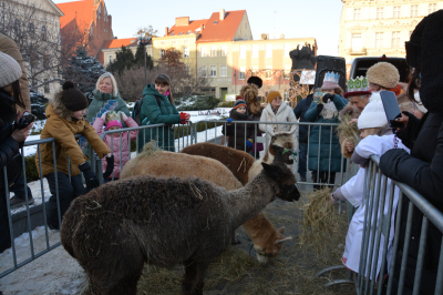 13.Bydgoski Orszak Trzech Króli